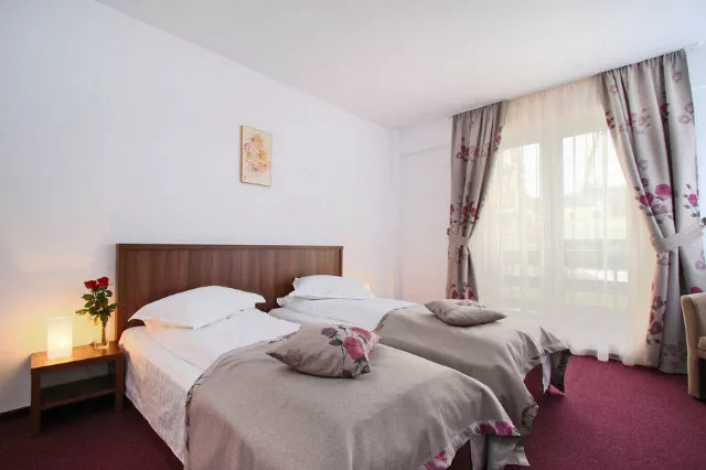 Hotel Domnitei Cameră Dublă twin