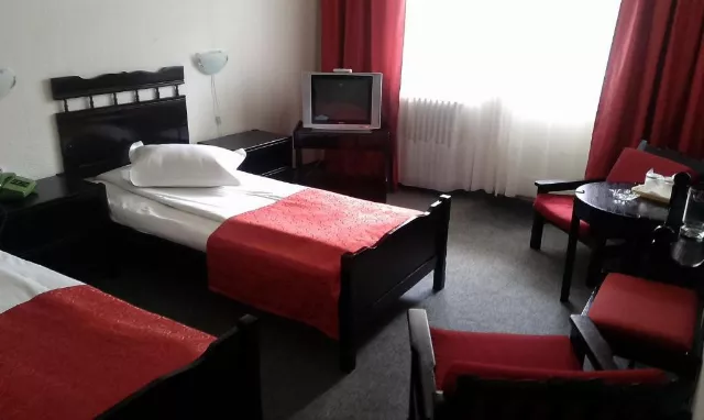 Hotel Tusnad Cameră Dublă standard #3