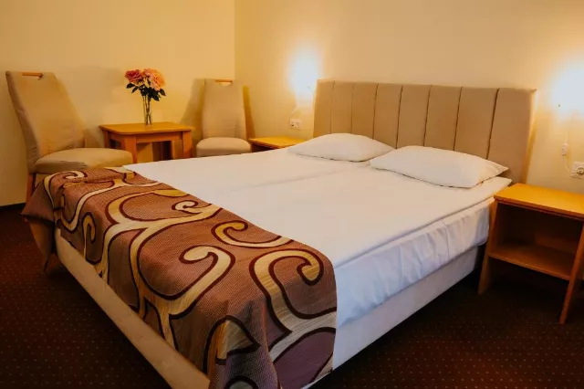 Hotel Tusnad Cameră Dublă superioară