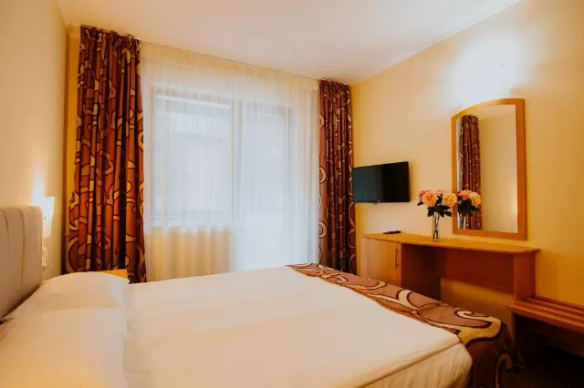 Hotel Tusnad Cameră Dublă superioară #3
