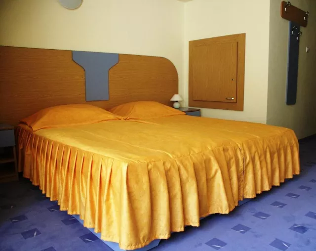 Hotel Tusnad Cameră Dublă standard plus #2