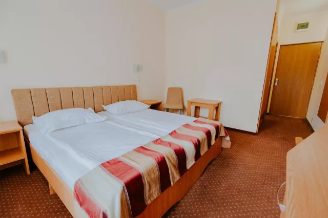 Hotel Tusnad Cameră Dublă superioară #2
