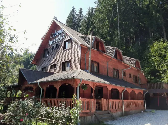 Pensiunea Cabana Ancutei