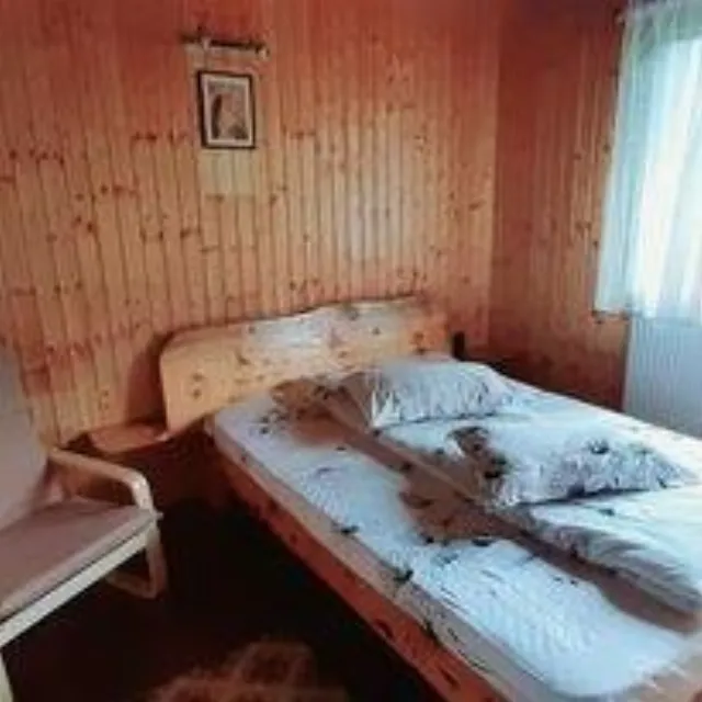 Pensiunea Cabana Ancutei