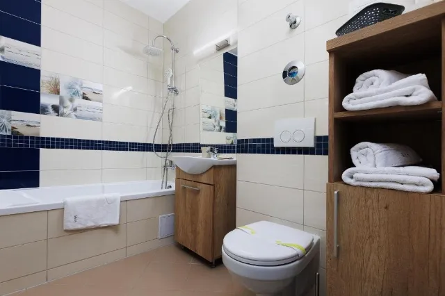 Apartments Brasov Holiday