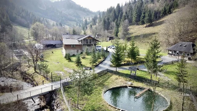 Pensiunea Stanistea Cerbilor