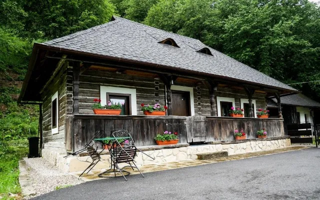 Pensiunea Stanistea Cerbilor