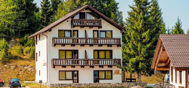 Vila Bradul - Complex Cheile Gradistei