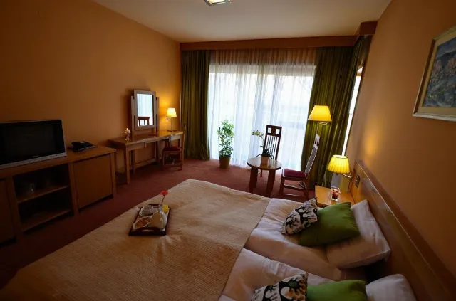 Hotel Gonduzo