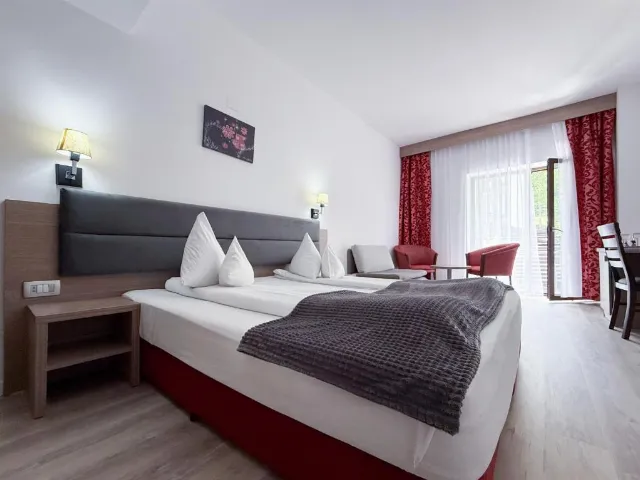 Hotel Tisa Cameră Dublă #3
