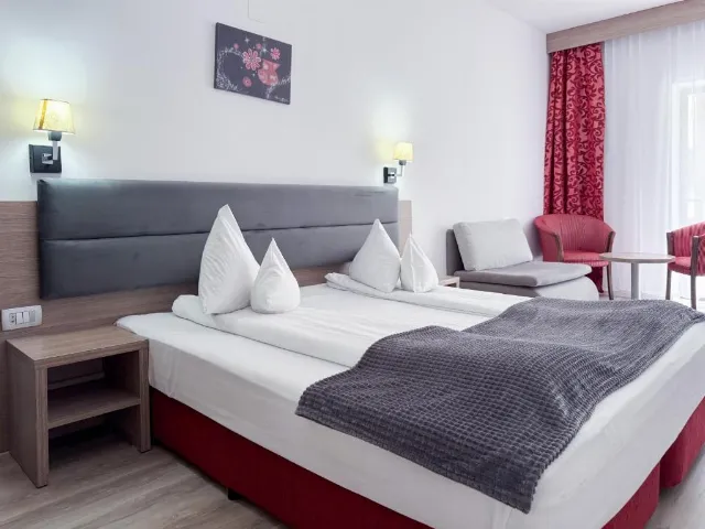 Hotel Tisa Cameră Dublă #5