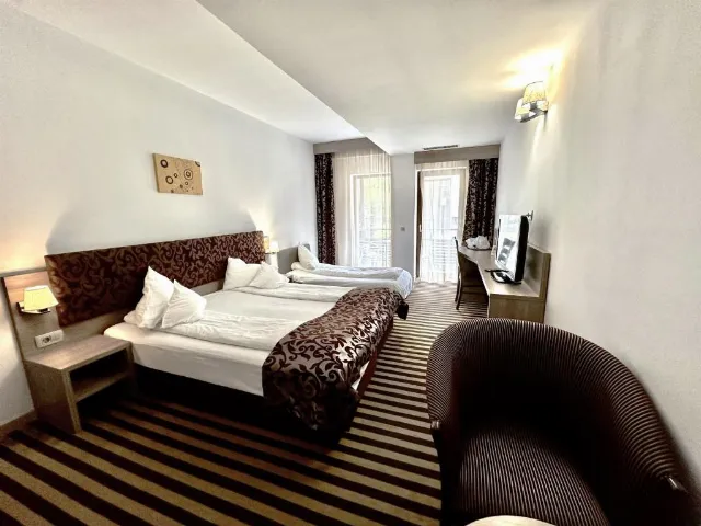 Hotel Tisa Cameră Dublă #4