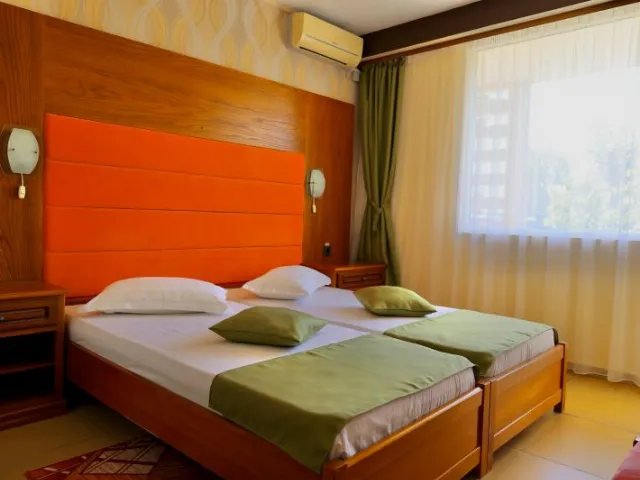 Hotel Delta Cameră Dublă mare #5