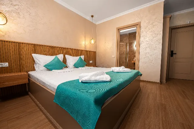 Camere De Inchiriat Thaya Cameră Queen deluxe #6