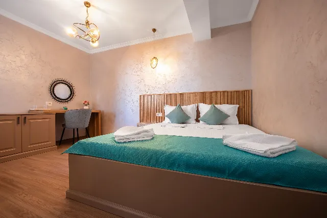 Camere De Inchiriat Thaya Apartament Deluxe #6