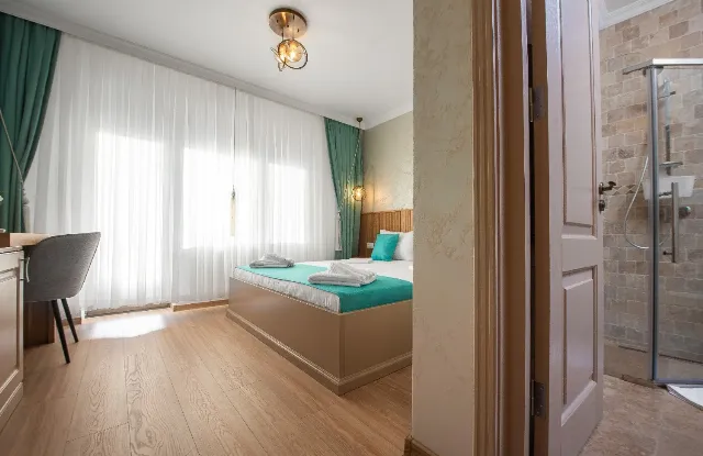 Camere De Inchiriat Thaya Cameră Dublă deluxe #8
