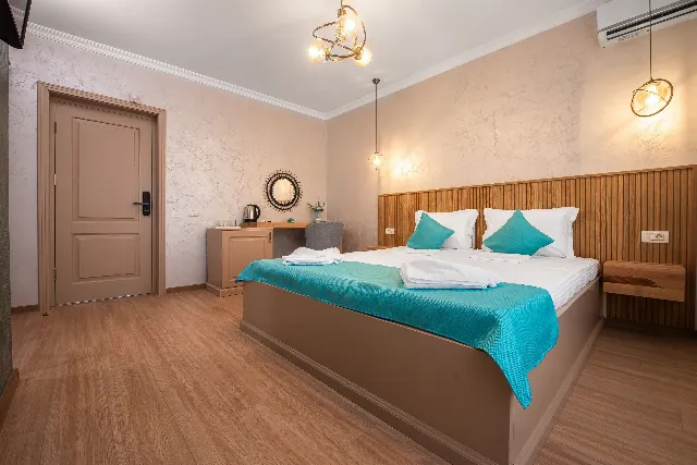 Camere De Inchiriat Thaya Apartament Deluxe