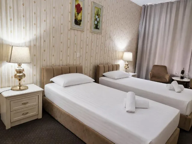 Hotel Carpathia Cameră Twin deluxe