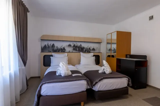 Hotel Q Resort And Spa, Cameră Dublă twin