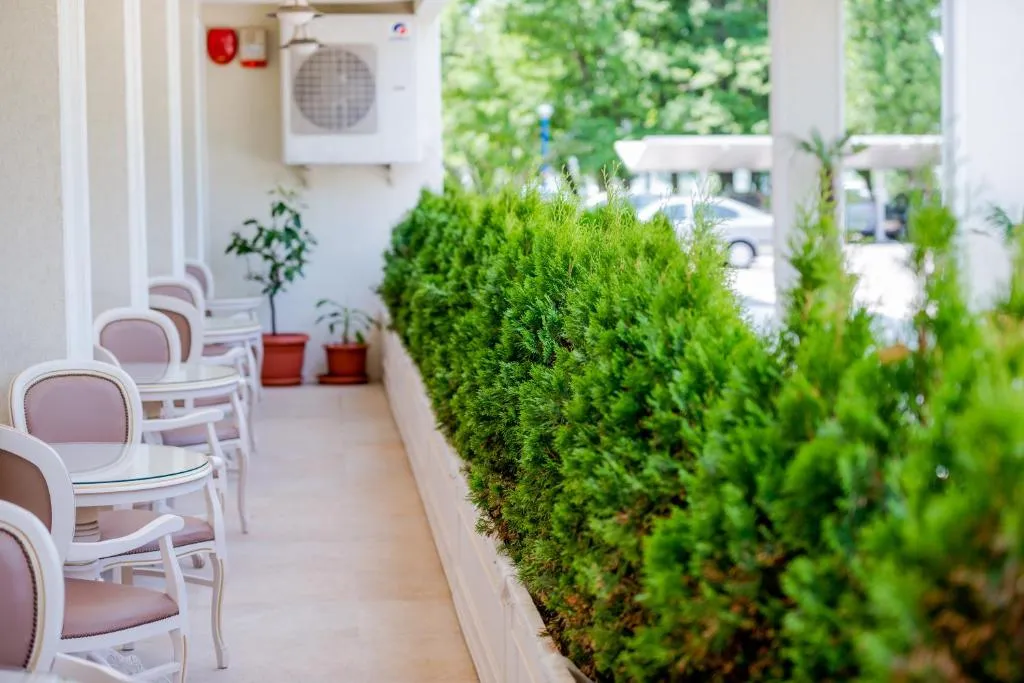 Hotel Sulina Mamaia International