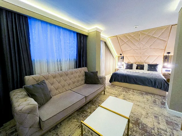 Hotel Elexus, Apartament standard fară balcon