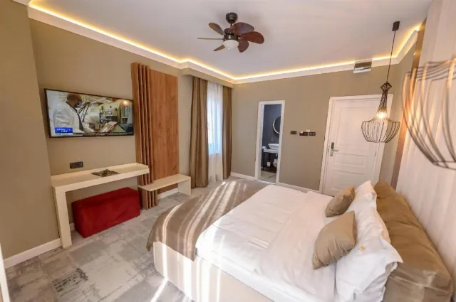 Hotel Elexus Boutique Junior suite #2