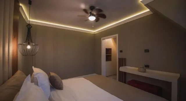Hotel Elexus Boutique Cameră Dublă superioară #4