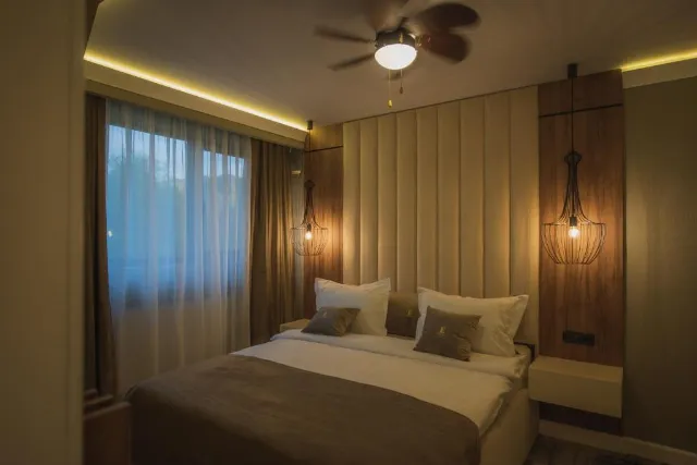 Hotel Elexus Boutique Cameră Dublă standard #3