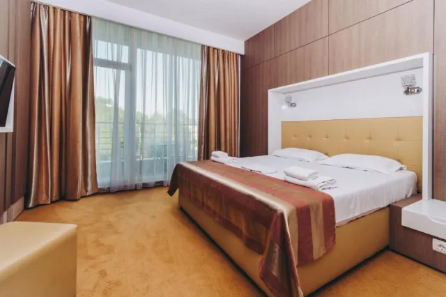 Hotel Scandinavia Cameră Dublă standard #2