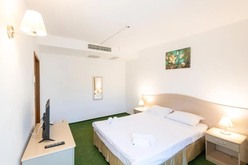 Hotel Bran Brad Bega Cameră Dublă economy