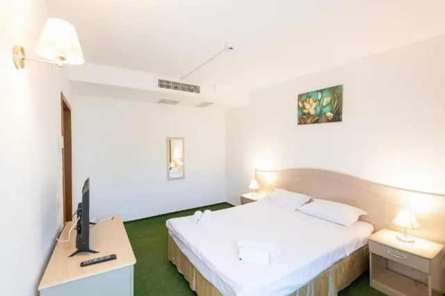 Hotel Bran Brad Bega Cameră Dublă economy