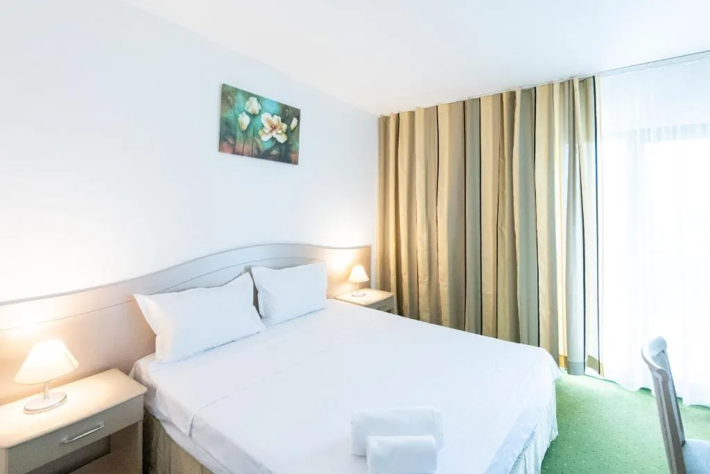 Hotel Bran Brad Bega, Apartament