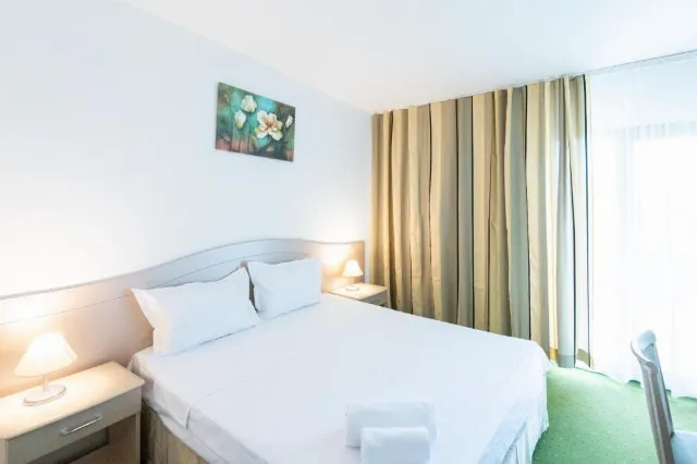 Hotel Bran Brad Bega Apartament #6