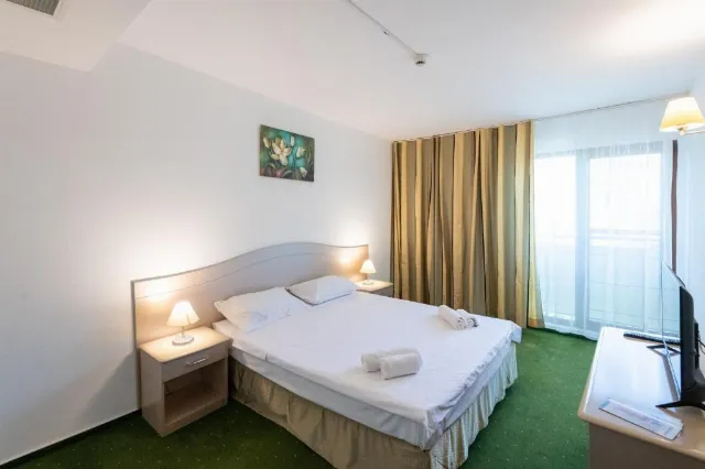 Hotel Bran Brad Bega Cameră Dublă standard #5