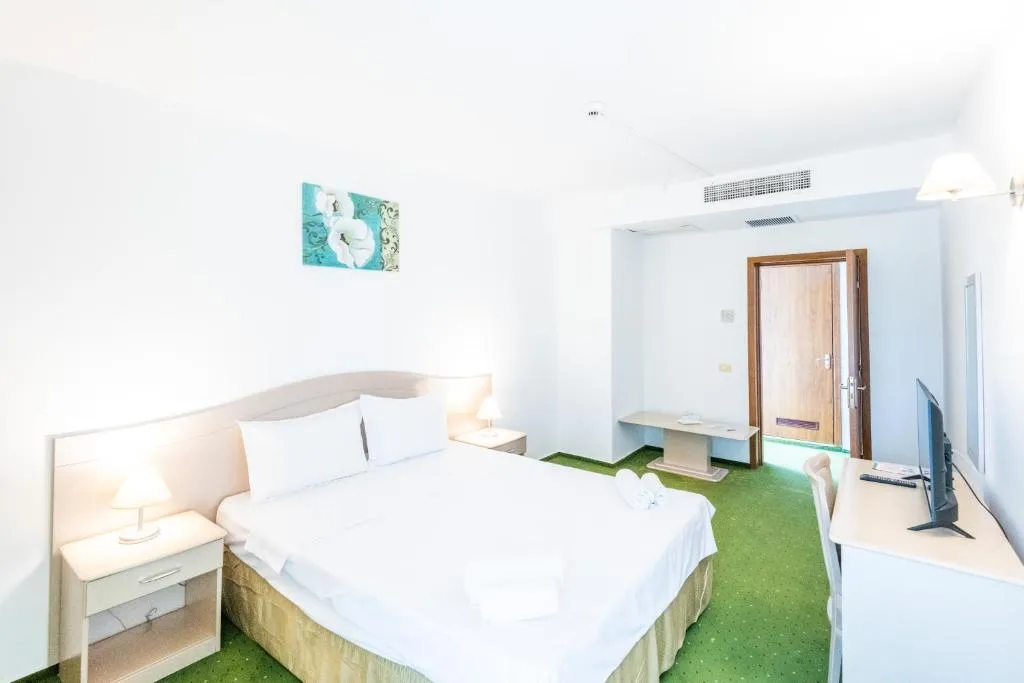 Hotel Bran Brad Bega, Cameră Dublă economy