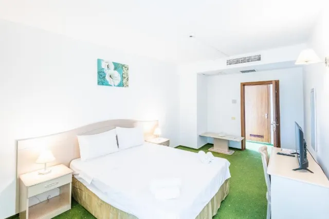 Hotel Bran Brad Bega, Cameră Dublă economy