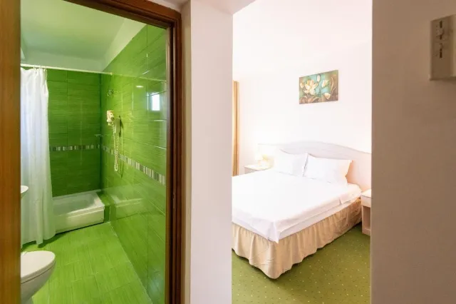 Hotel Bran Brad Bega Cameră Dublă economy #9