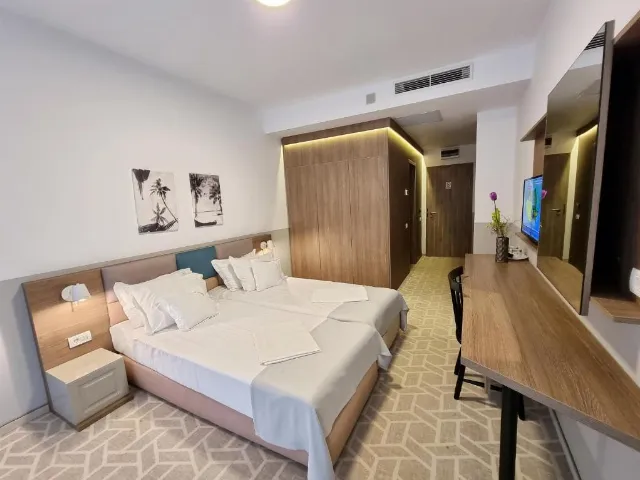 Hotel Clas Cameră Dublă #9