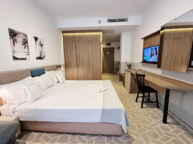 Hotel Clas Cameră Dublă #11